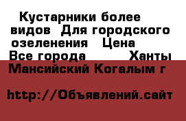 Кустарники более 100 видов. Для городского озеленения › Цена ­ 70 - Все города  »    . Ханты-Мансийский,Когалым г.